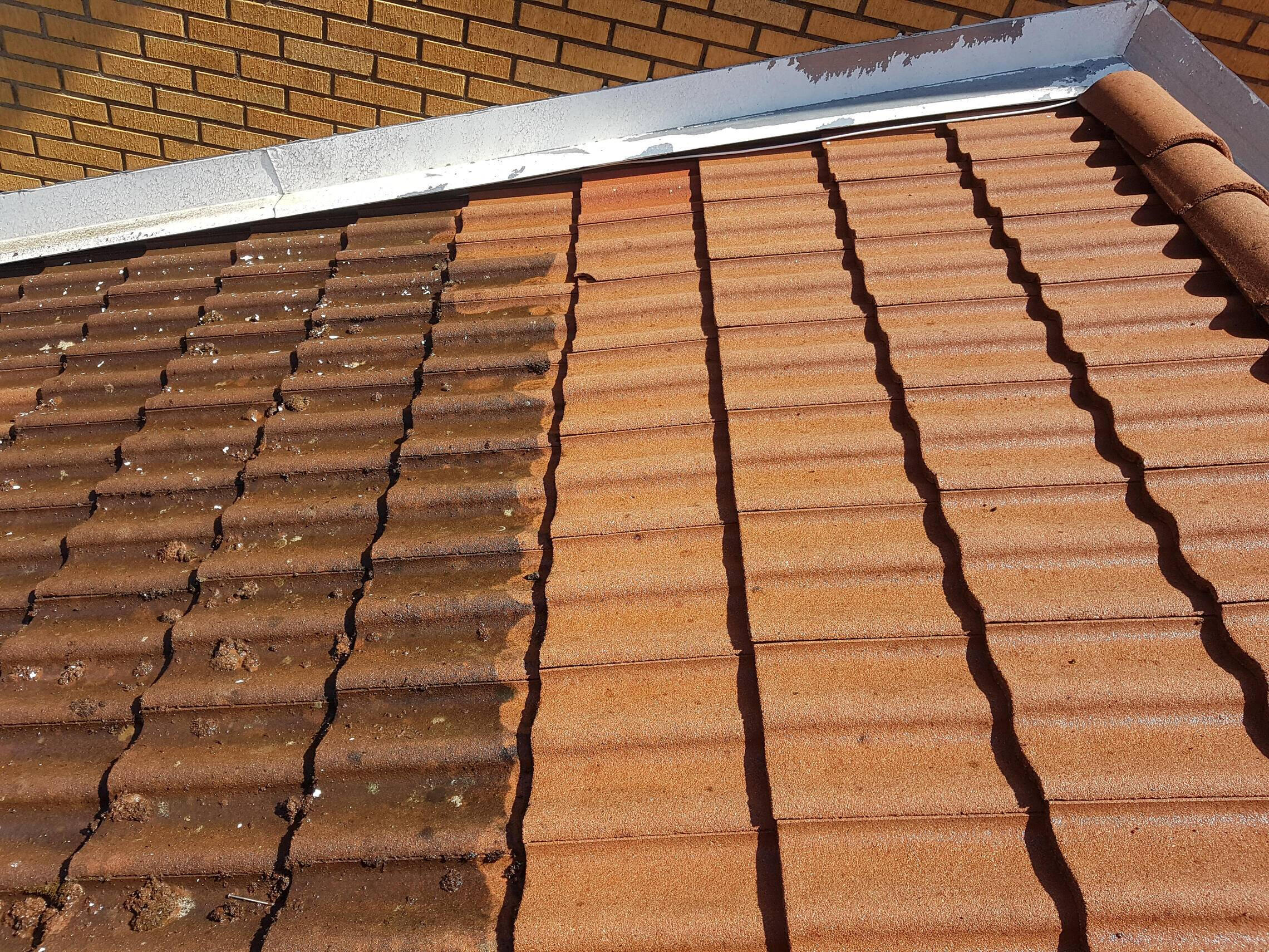 roof cleaning - before + after