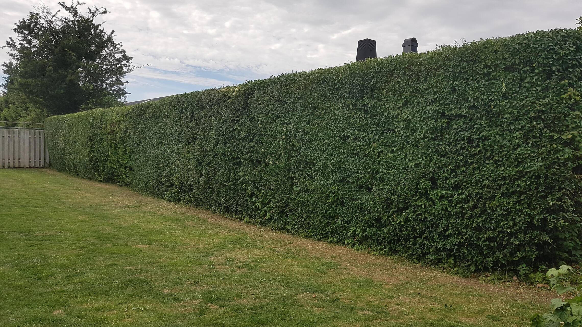 fence cutting