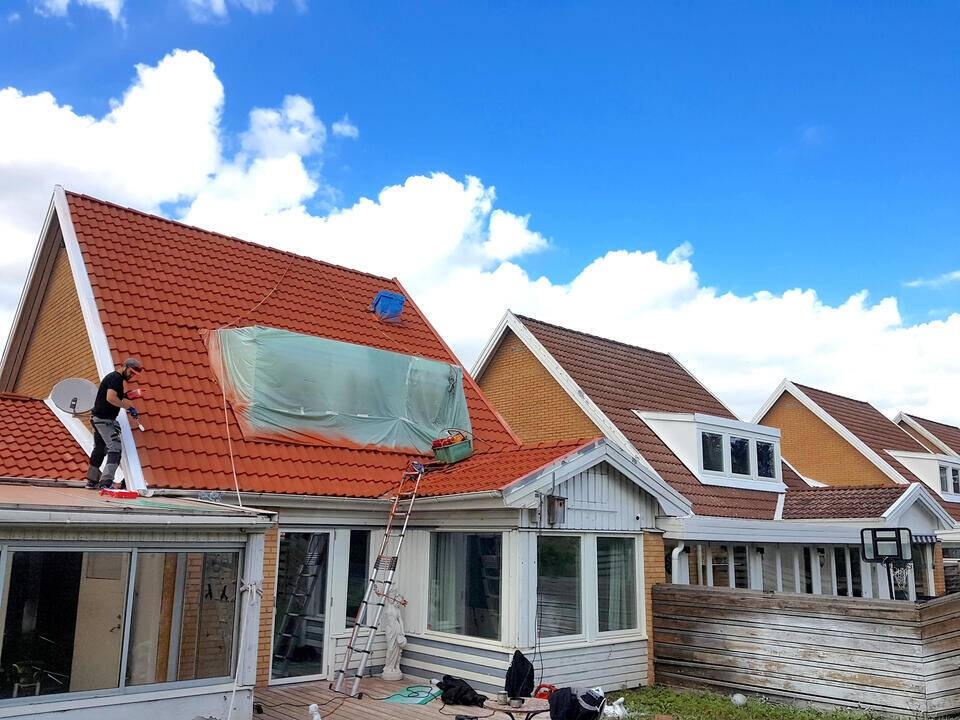 roof painting